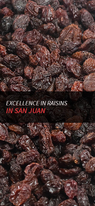Excellence in Raisins in San Juan, Argentina